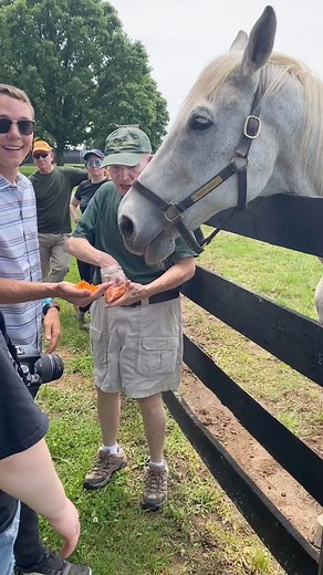 Chris fed his FIRST HORSE TODAY... and it was none other than the legendary SILVER CHARM, the 1997 Kentucky Derby Winner! 🤩👏 Via: Chris Sutton #OldFriends | The Real Players Inside The Backstretch