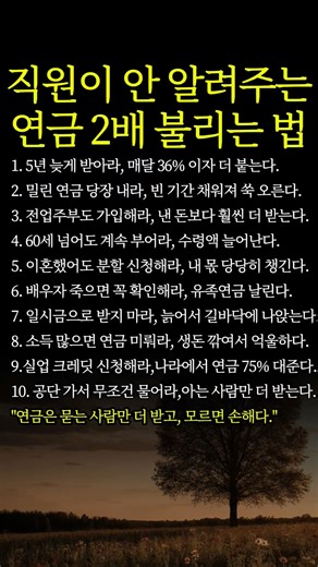 국민연금 공단이 안 알려주는 연금 수령액 2배 불리는 법 #시니어정보