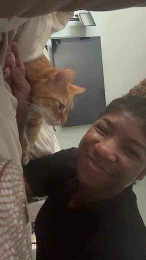 Cat grandparent. I am not the mammy but in fact the nanny. | Smith Serenity