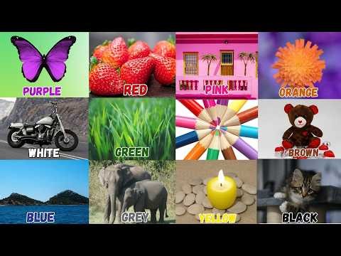 We Love All the Colors | We Love Red, Blue & Orange |Red Red Strawberries|Nursery Rhymes & Kids Song