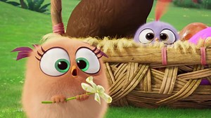 Angry Birds Activity Park Gran Canaria on Reels