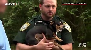 252K views · 1.5K reactions | "It's not against the law to damage your own property." -Sticks | Live PD on A&E | Facebook