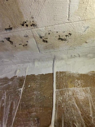 Effective Techniques for Deep Cleaning Your Steps