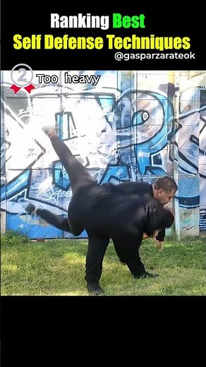 Ranking Best Self Defense Techniques