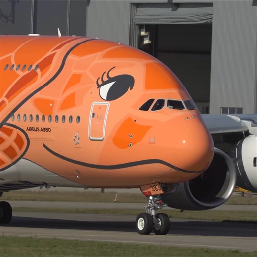 TOP 10 AVIATION MOMENTS of 2020 - AIRBUS A380, HARD LANDINGS, BIRDSTRIKE ... | Big Jet TV