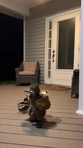 Cat playing one man band instruments on the porch | Funny AI