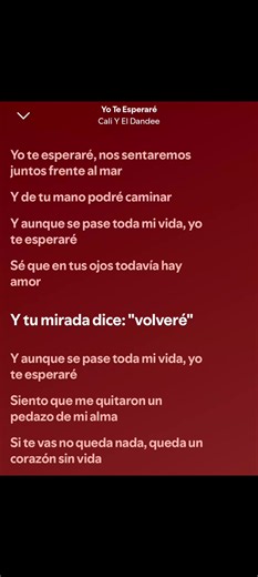 Yo te esperaré - Cali y El Dandee (letra y significado)
