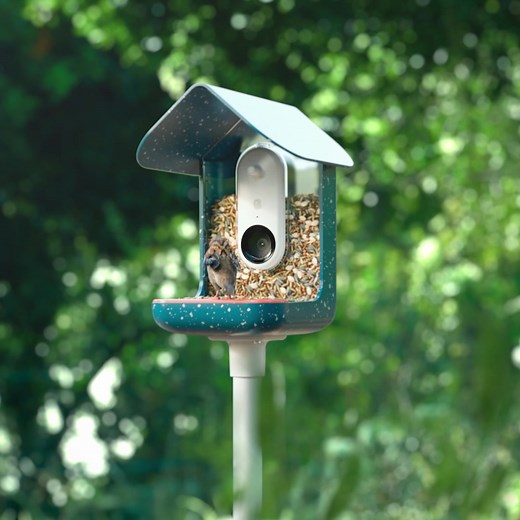 Can't get enough of birds? ❤️ Then this bird feeder is perfect for you! Get up close and personal with Bird Buddy. 💬 Notifies you of feathered visitors 🐦 Identifies 1000 bird species 📸 Captures photos and videos in collections Learn more ➡️ https://mybirdbuddy.com/ | Birdbuddy