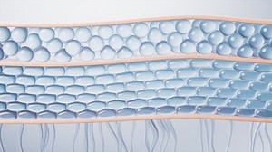 Skin cell background with cosmetics concept, 3d rendering. | Premium Stock Video Footage
