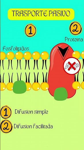 TRASPORTE ACTIVO Y PASIVO 😏 #átomo #cientificos #science #chemistry #curiosidades #cienciasocultas