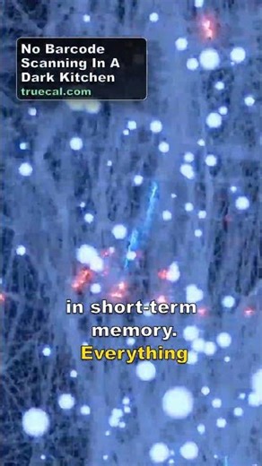 Your Brain DELETES the Middle of Every List 🧠