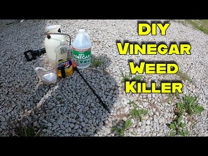 DIY Weed Killer Using Household Ingredients!!!