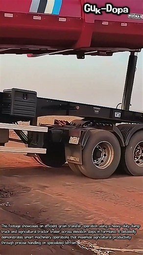 Grain Unloading with Dump Truck and Tractor #worker #process #truck #tractor #agriculture