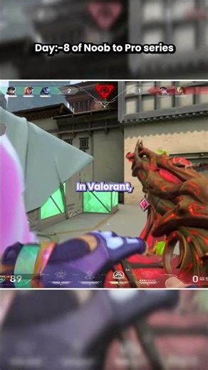 Day 8 of Noob to Pro Series