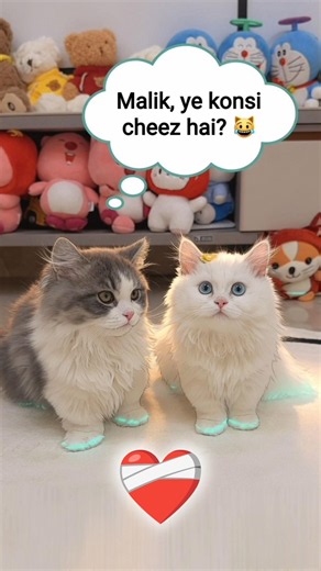 The Laser Scared Every Cat… But One Kitten Did Something Hilarious! 😸😺💓