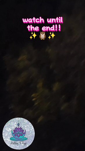 Midnight rendezvous ✨️🦉✨️ | Ashe Tree