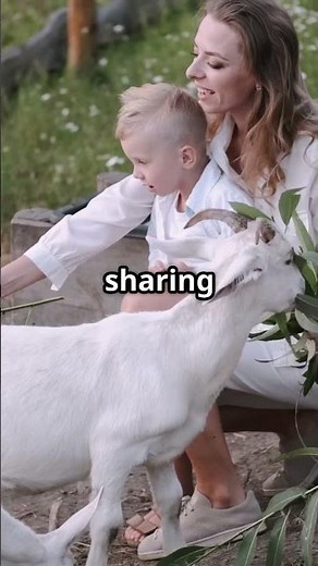 Village Goat Farming: Empowering Communities! #sustainablefarming #goatfarming #sustainable