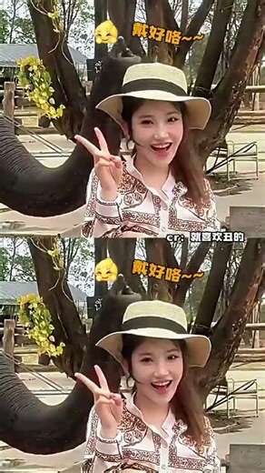 The Elephant Man's Hat: A Must-Watch Adventure