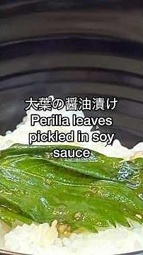 ご飯が止まらない！大葉の醤油漬けレシピ🍃｜Shiso Leaves Marinated in Soy Sauce