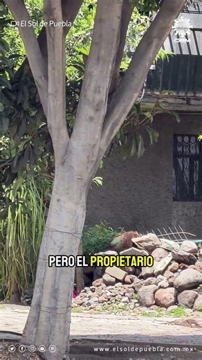 Again? A "bully" neighbor has once again taken over a common area with stones and sticks ⛔