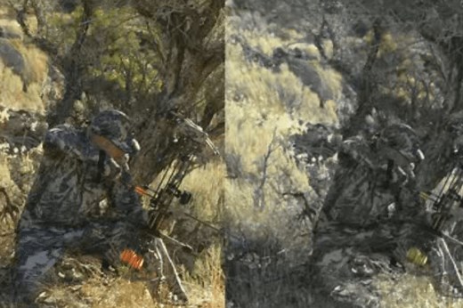 Simulate Deer Vision With Goggles To Hunt Better