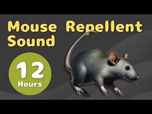 Mouse Repellent Sound | Drive Mice Out of Your Home for Peace and Quiet | 12 Hours