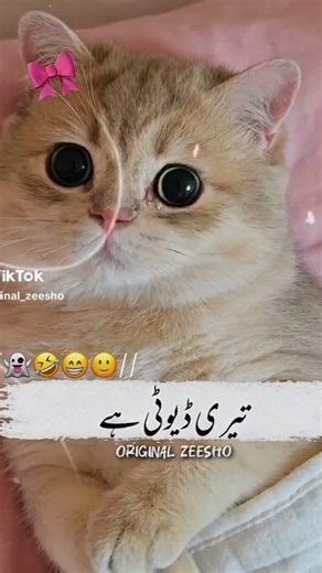 for you #please#unfreeze account 🥺🥺🥺🥺😂😂😂😂😂