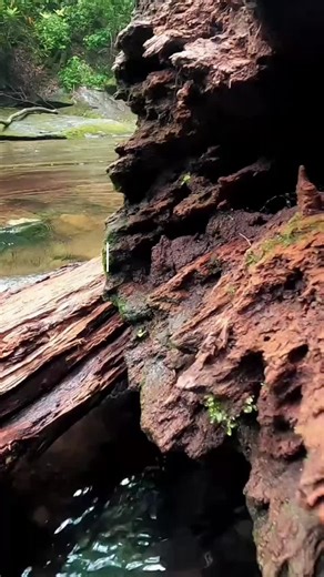 May tunay na buhay sa dako pa roon! #tiktokbible #bible #bibleverse #biblestudy #bibleexposition #biblicallyspeaking #letusbebiblical #preacher #truthseeker #broelisoriano #kuyadanielrazon #angdatingdaan #mcgi #mcgishines #mcgicares #togodbetheglory