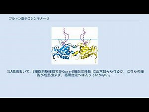 ブルトン型チロシンキナーゼ