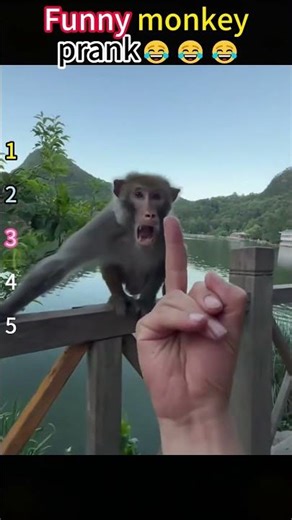 TOP5 MOMEN TERLUCU #funny #funnyvideos #comedy #viral #memes #lol #haha #laugh #funnymoments#top