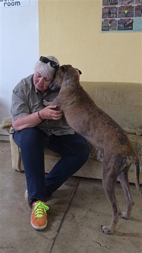 217 reactions · 6 comments | Nochmals ... 18.11., 18.30 h ZOOM über unsere Erlebnisse hier (und die waren wild ...). Gegen Spende an Rettet das Nashorn und nur für Personen, die sich live zeigen. Anmeldungen bitte an Silke Giesing unter info@hundeakademie.de. #werbung Goood dog food | Perdita Lübbe-Scheuermann | Facebook