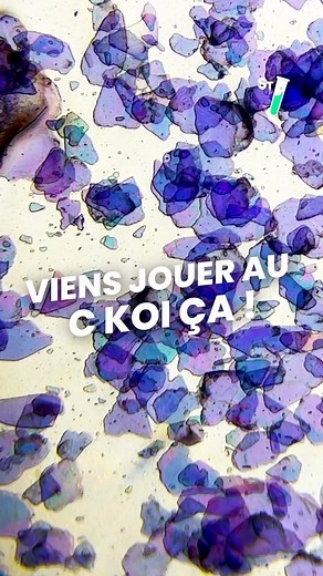 Devine ce qu’on te montre au microscope ! 🔬 Petit indice : tu en mets (peut-être) sur ton corps 👀 Tu trouves alors ? | String Theory Fr