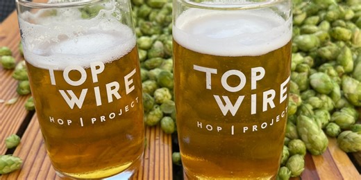 On the Go: Oregon Hop Festival in Woodburn