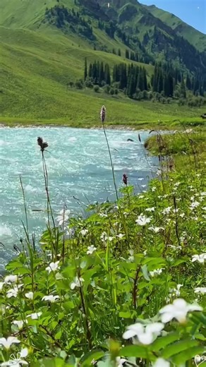 Hello! Please pay more attention to me! Thanks!