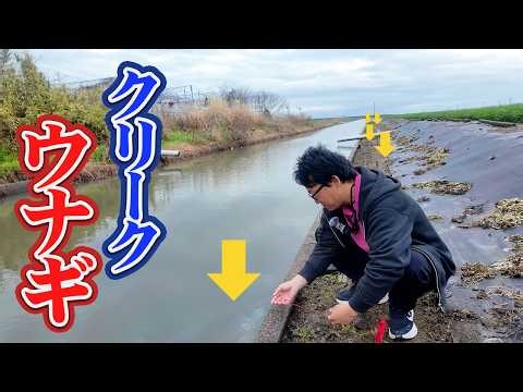 I caught an eel in the creek for the first time this year!!