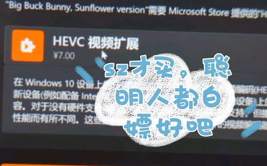 如何白嫖HEVC视频扩展 - Win10不能播放hevc视频怎么办