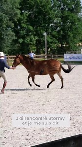 20K views · 550 reactions | Tous les chevaux, de toutes les races, de...