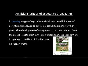 G10_Biology_Chapter_5_part_1