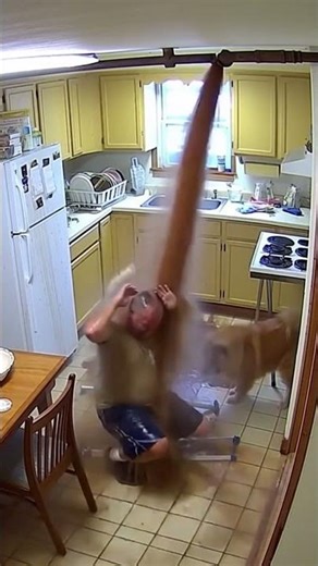 Maple & Teddy ruin plumbing repair, ladder falls and dirty water floods everywhere 💦🐶😼