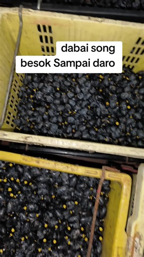 Sing Wang fruit stall (@sing.wang.fruit.s)’s videos with original sound - Sing Wang fruit stall