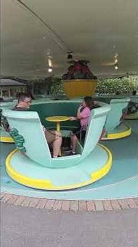 Tea Cup Ride At Paultons Park #themepark