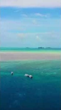 【音楽】「PALAU」/ 爽快な J-Fusion - fanfan & Friends, Remi