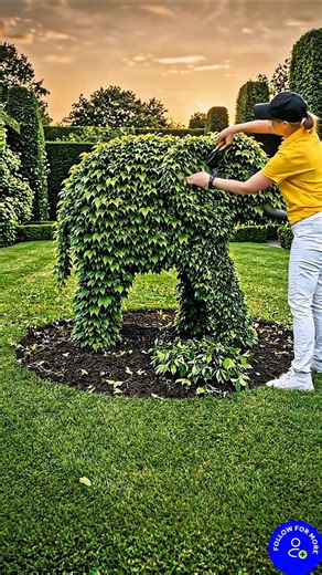 Elephant Topiary in Luxury Garden |Luxury Garden Elephant Topiary |Topiary Garden