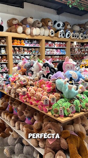 Aún no sabes dónde conseguir los peluches más hermosos en Ecuador? 🧸💘 El Mundo del Peluche es la solución perfecta, recuerda comprar con anticipación, son diseños exclusivos de temporada. #SanValentín2026 #PeluchesAlPorMayor #SomosFábrica #ElMundoDelPeluche | Peluches”El Mundo Del Peluche”