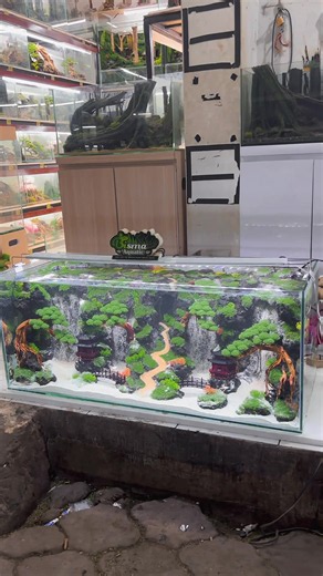 Aquascape tema waterfall bonsai by.Bisma Aquatic Pasuruan bagi yang minat bisa langsung komen #aquascape #fyp #viral #trending #beranda