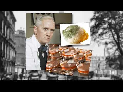 くすりと研究開発の過去・現在・未来