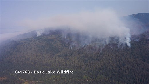 When wildfires start in remote areas it can be challenging for crews and heavy equipment to safely respond. 100 Mile House Fire Zone Response Officer Ally Keir describes how the Cariboo Fire Centre is responding to fires in the eastern part of the 100 Mile House and Central Cariboo Fire Zones. A combination of tactics are being employed by ground crews and heavy equipment operators in accessible areas where it is safe to do so. This approach allows fires to burn with low intensity in remote area
