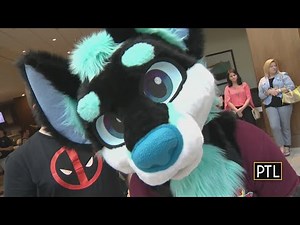 The Furries are back!