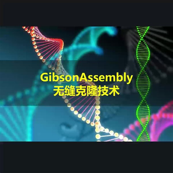 GibsonAssembly无缝克隆术
