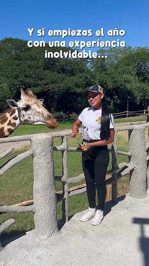 ¡Por un 2024 lleno de aventuras en Auto Safari Chapín! 🦒🌿😎